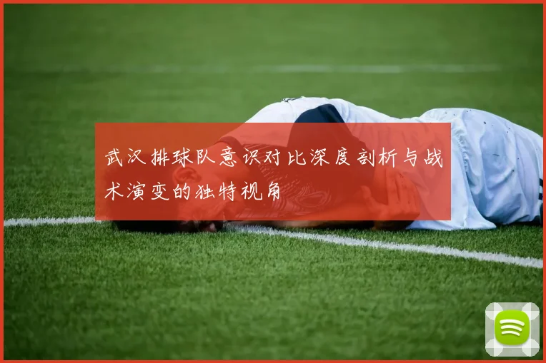 武汉排球队意识对比深度剖析与战术演变的独特视角