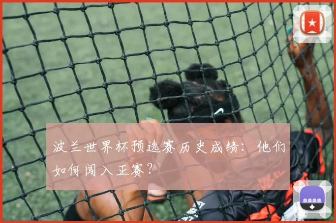 波兰世界杯预选赛历史成绩：他们如何闯入正赛？