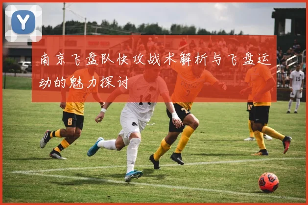 南京飞盘队快攻战术解析与飞盘运动的魅力探讨