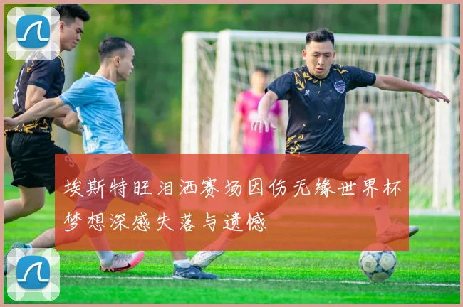 埃斯特旺泪洒赛场因伤无缘世界杯梦想深感失落与遗憾