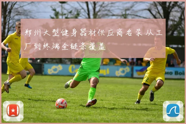 郑州大型健身器材供应商名录 从工厂到终端全链条覆盖