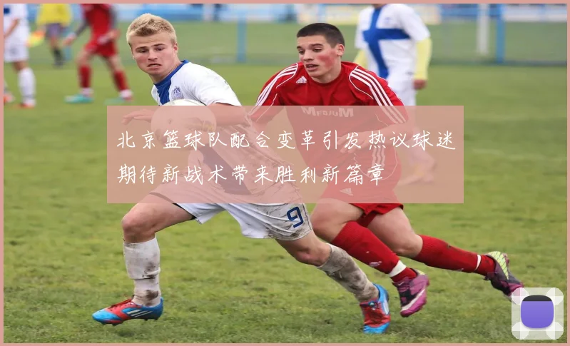 北京篮球队配合变革引发热议球迷期待新战术带来胜利新篇章